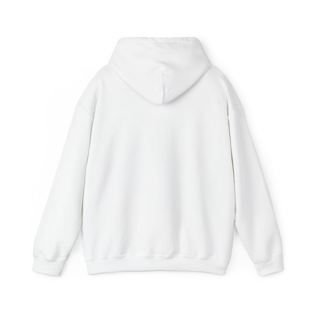 Warriors of Light Hoodie — Spiritual Inspirational Pullover